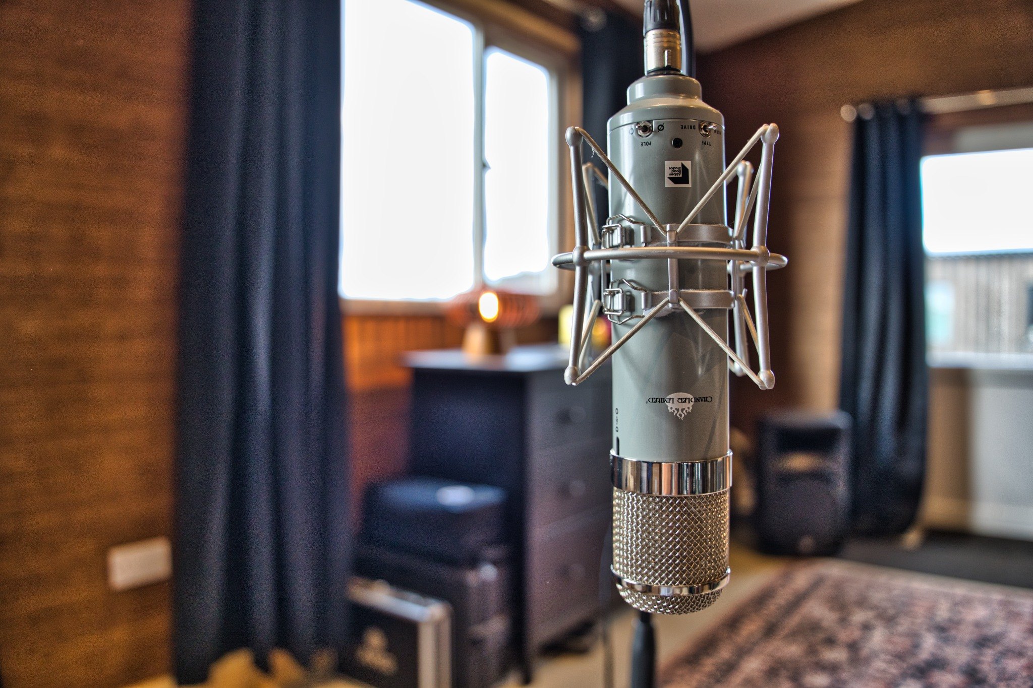 Chandler REDD microphone in the studio